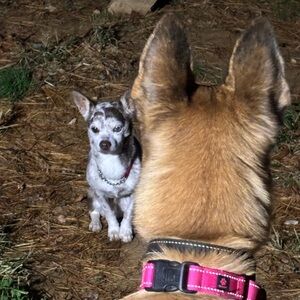 Meet your Posher, Tracey